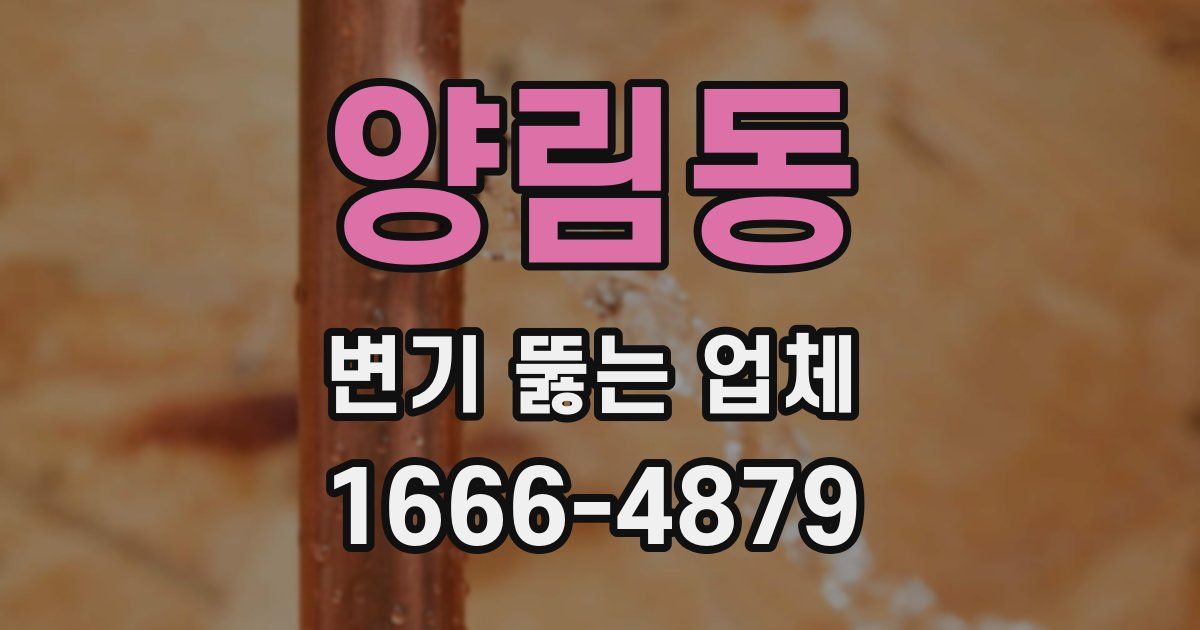양림동 변기 뚫는 업체