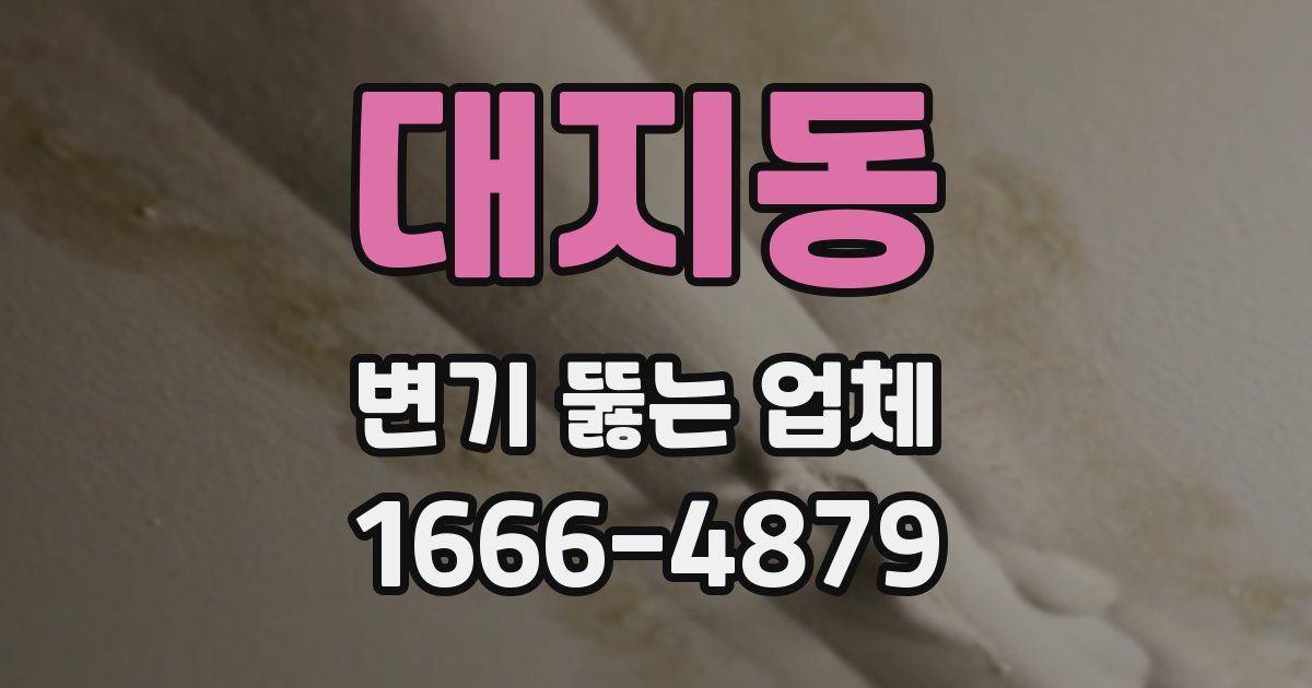 대지동 변기 뚫는 업체