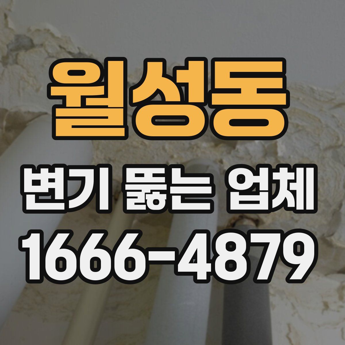 월성동 변기 뚫는 업체
