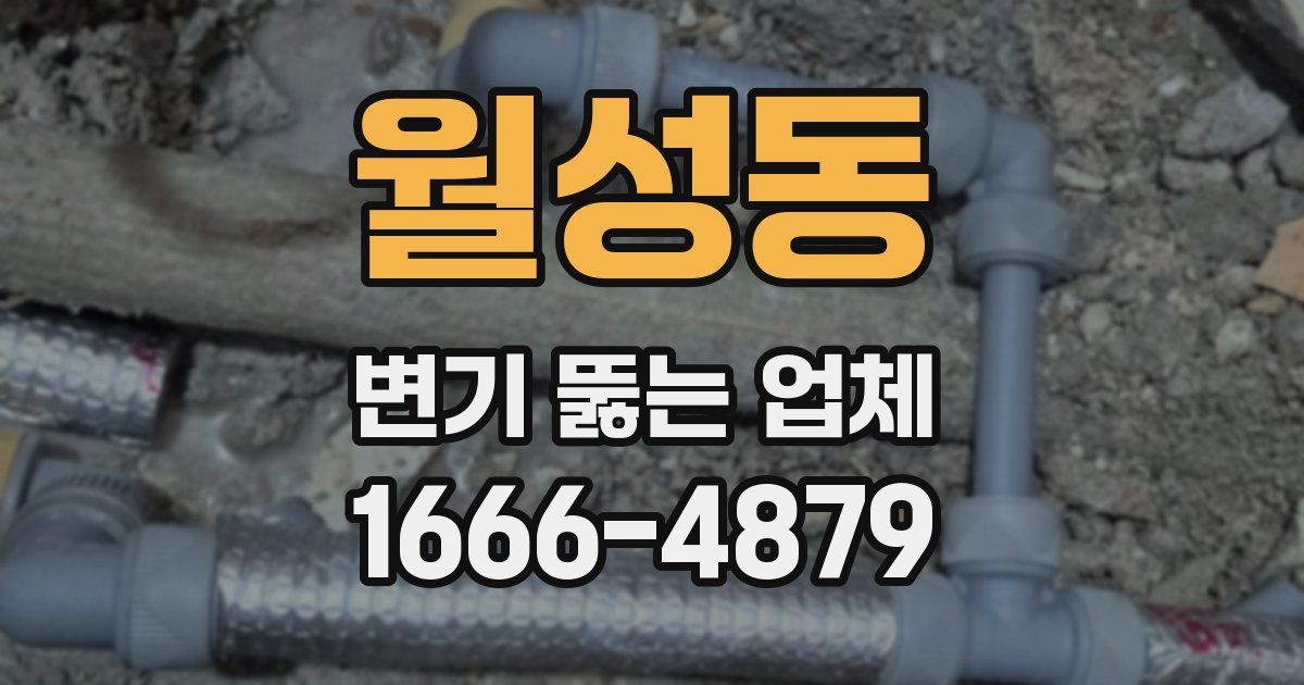 월성동 변기 뚫는 업체