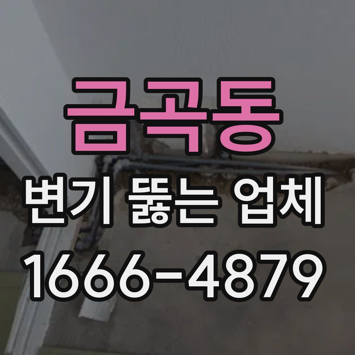 금곡동 변기 뚫는 업체