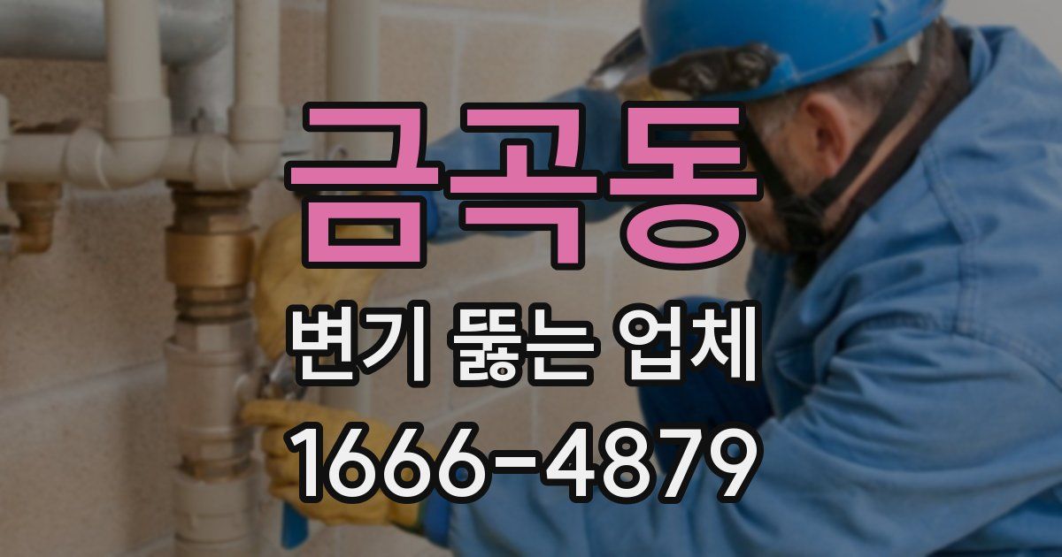 금곡동 변기 뚫는 업체