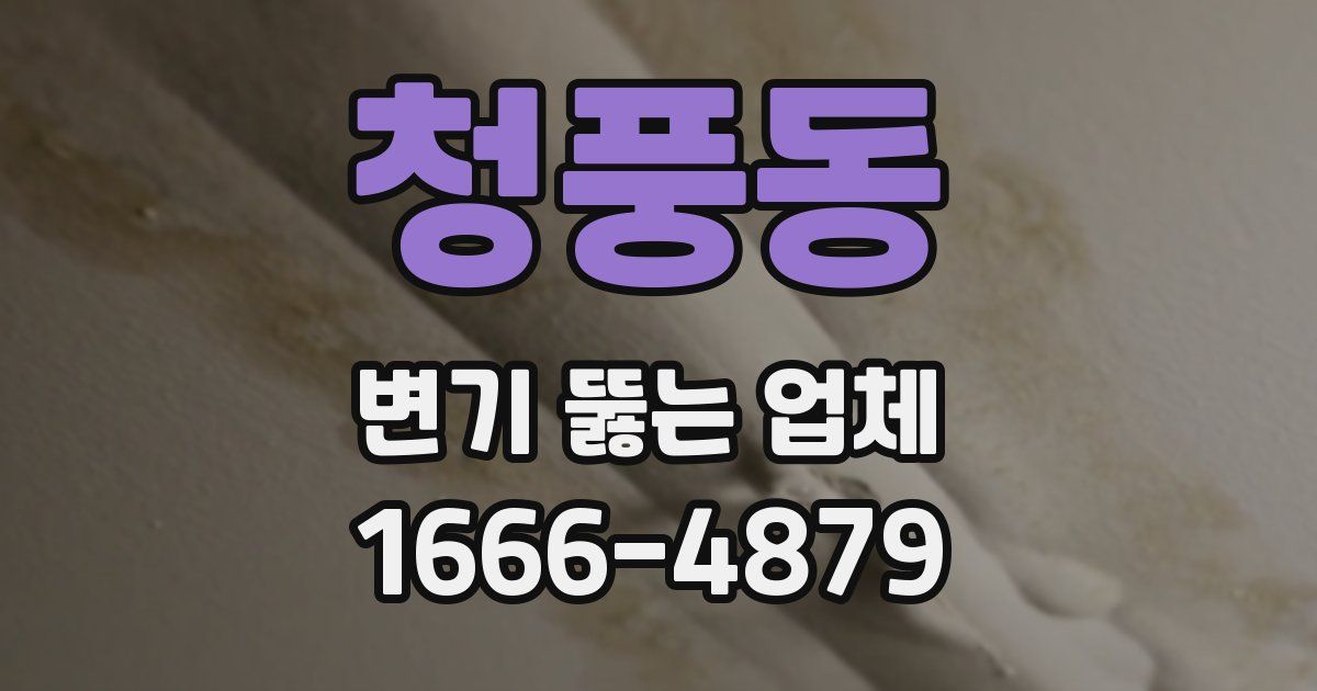 청풍동 변기 뚫는 업체