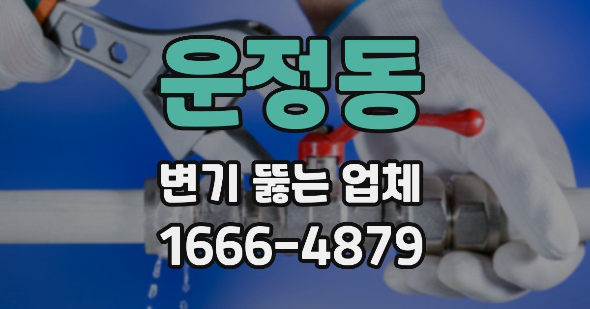 운정동 변기 뚫는 업체