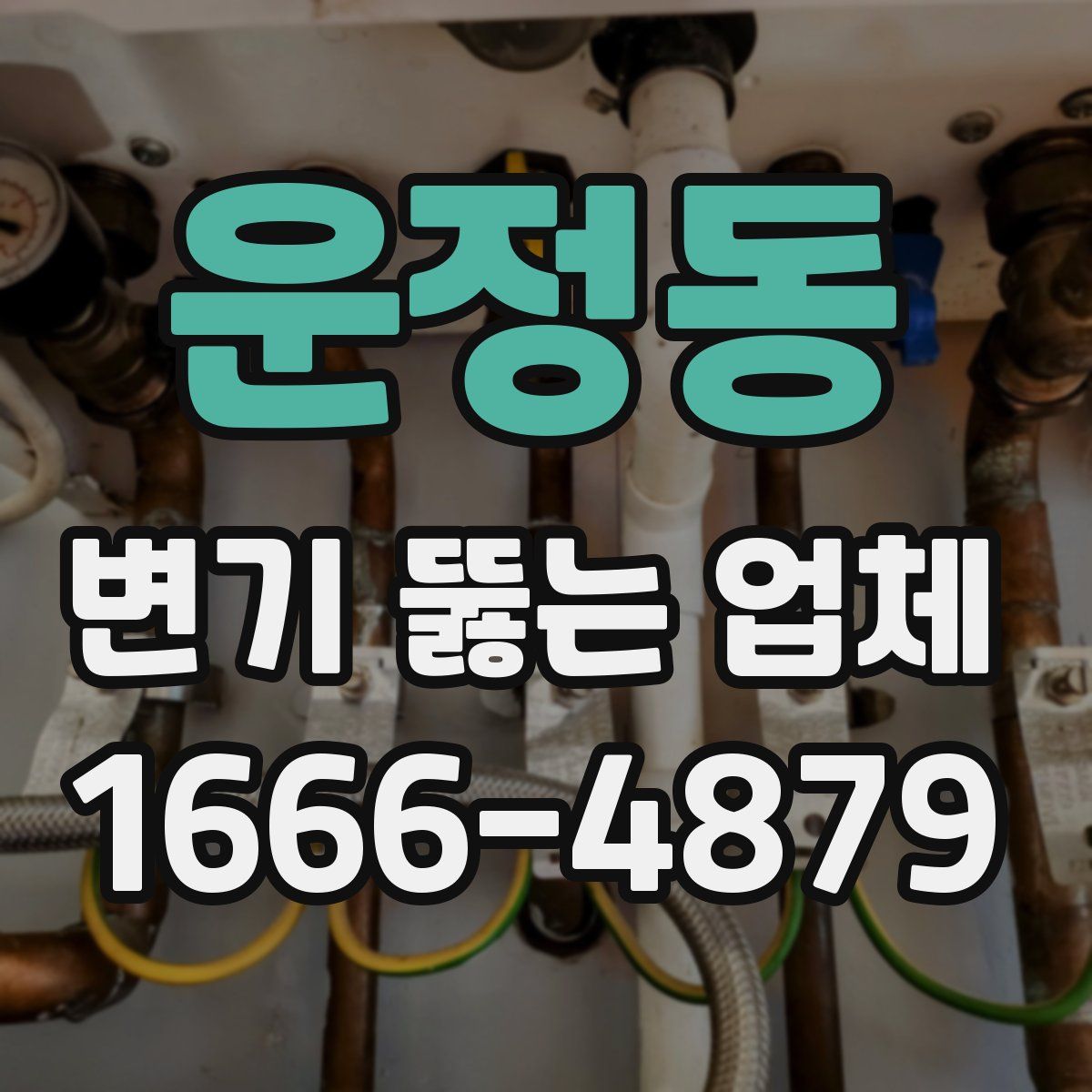 운정동 변기 뚫는 업체