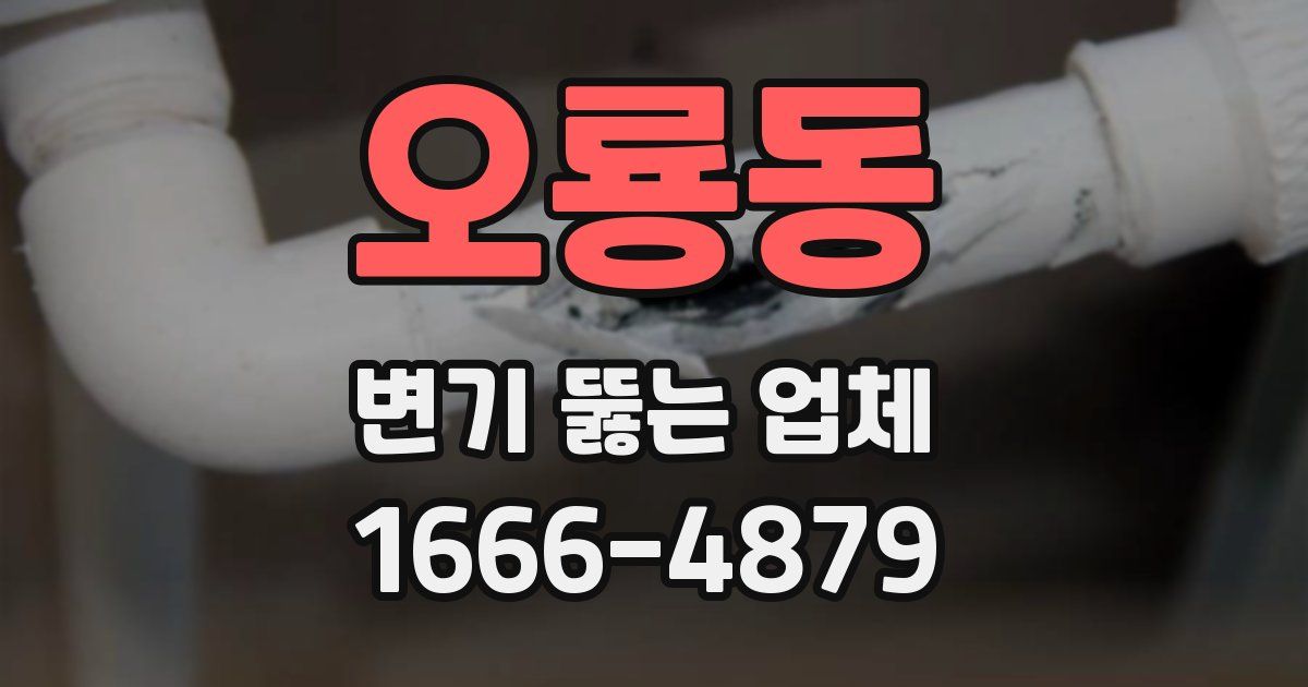 오룡동 변기 뚫는 업체