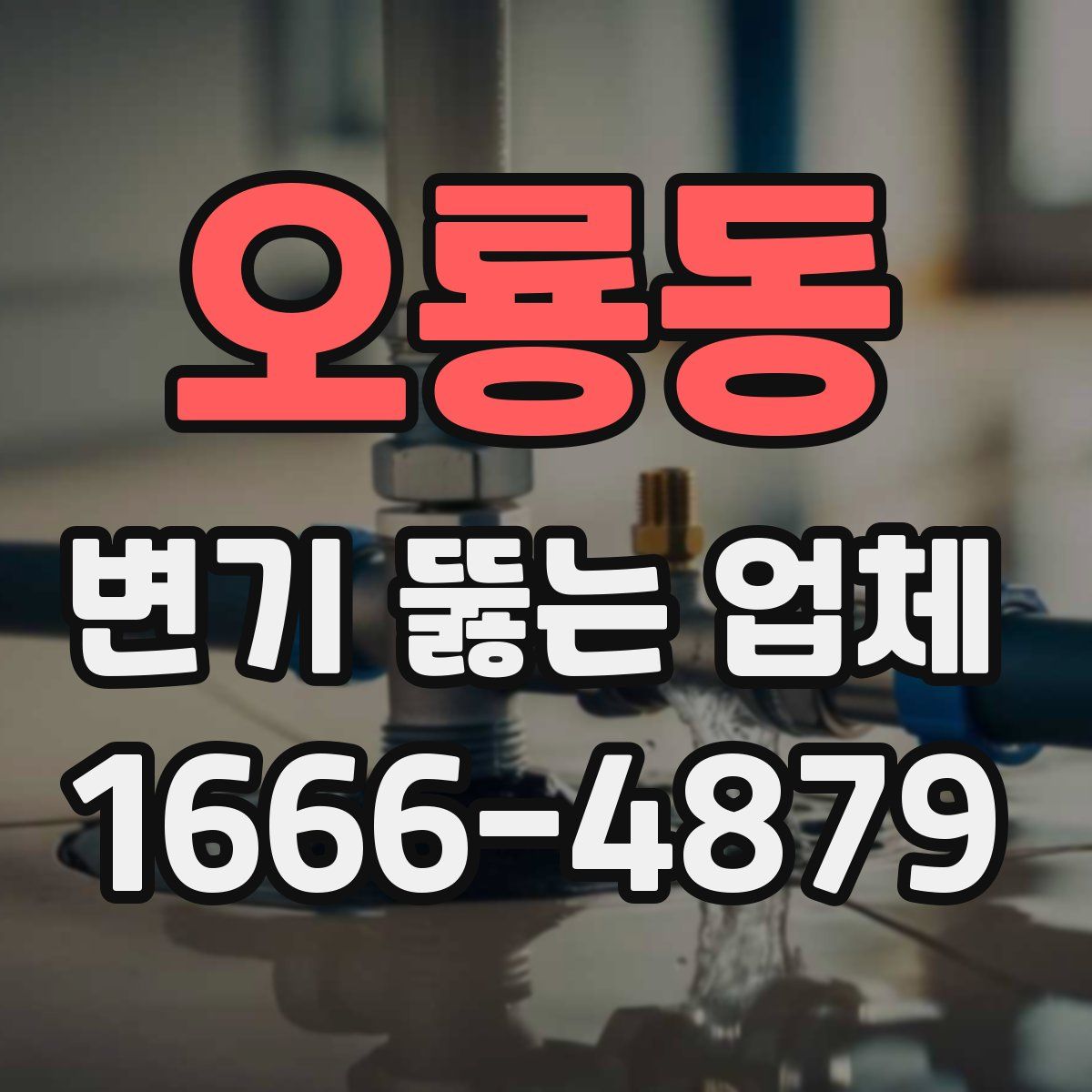 오룡동 변기 뚫는 업체