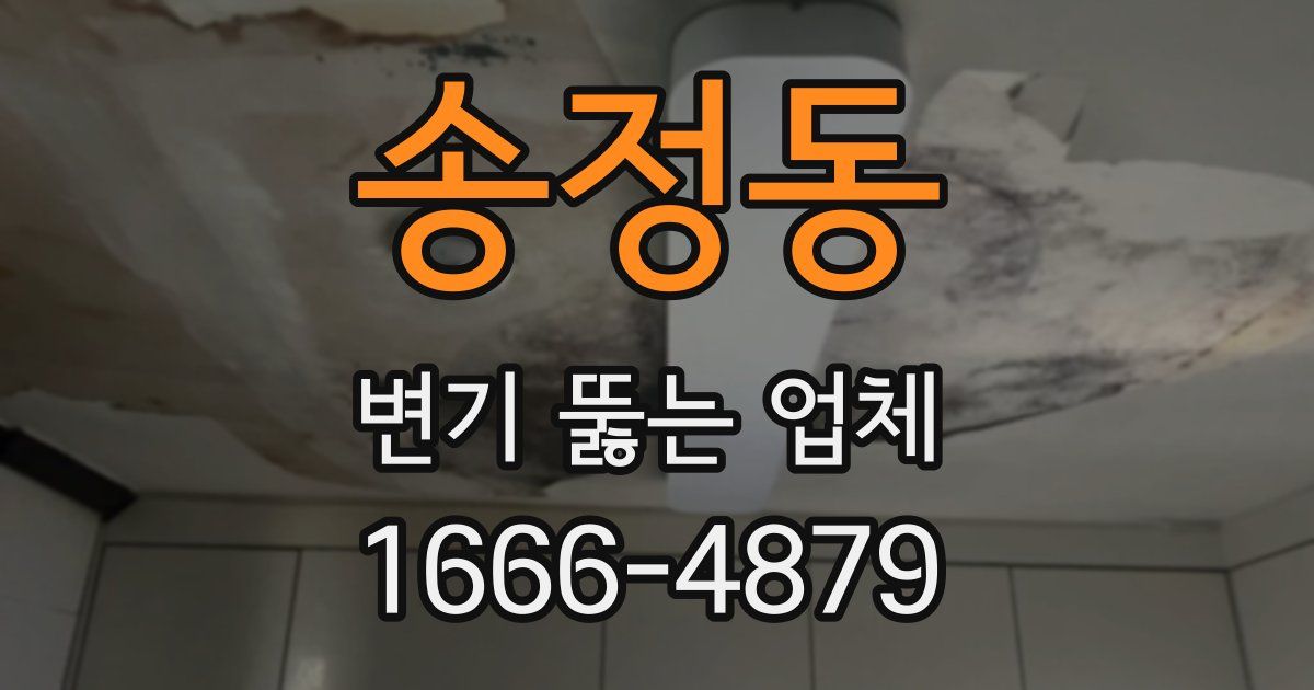 송정동 변기 뚫는 업체