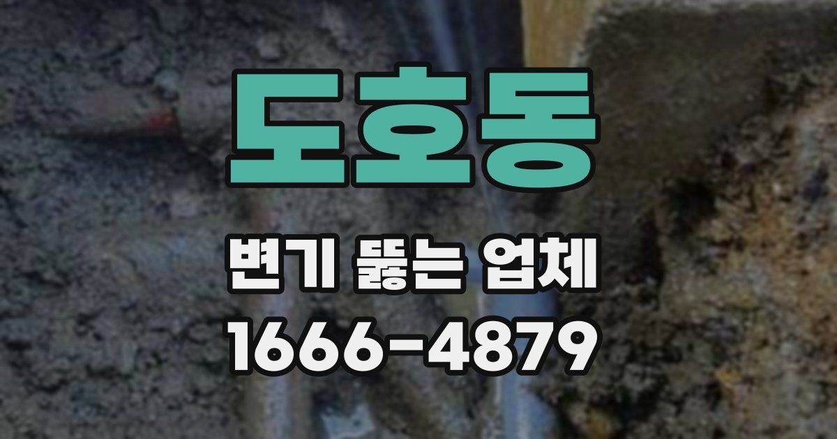 도호동 변기 뚫는 업체