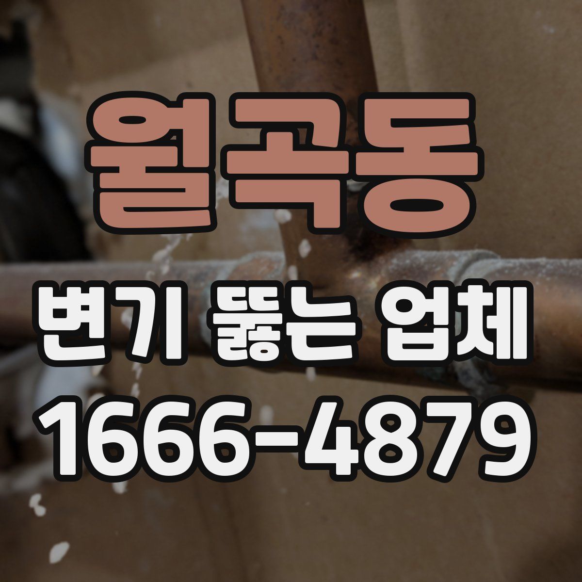 월곡동 변기 뚫는 업체