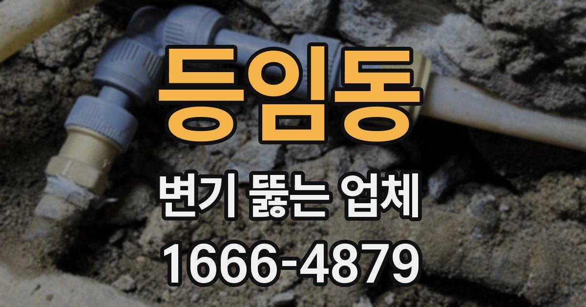 등임동 변기 뚫는 업체