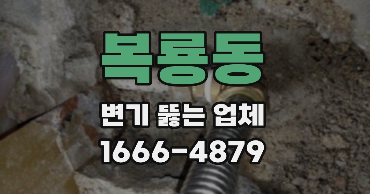 복룡동 변기 뚫는 업체