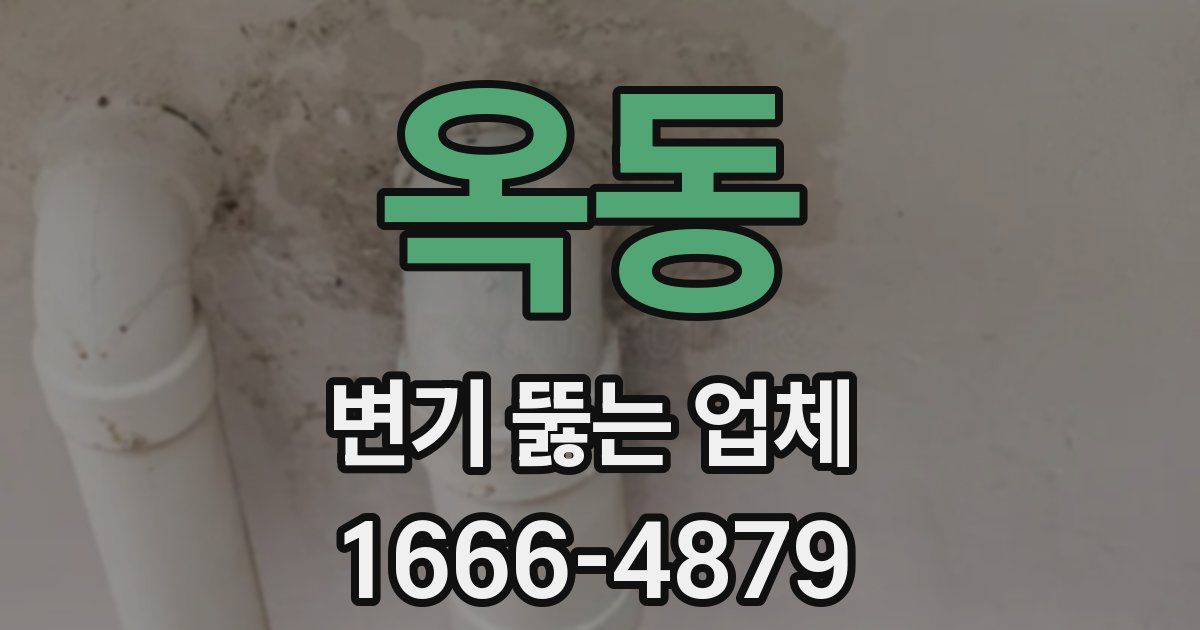 옥동 변기 뚫는 업체