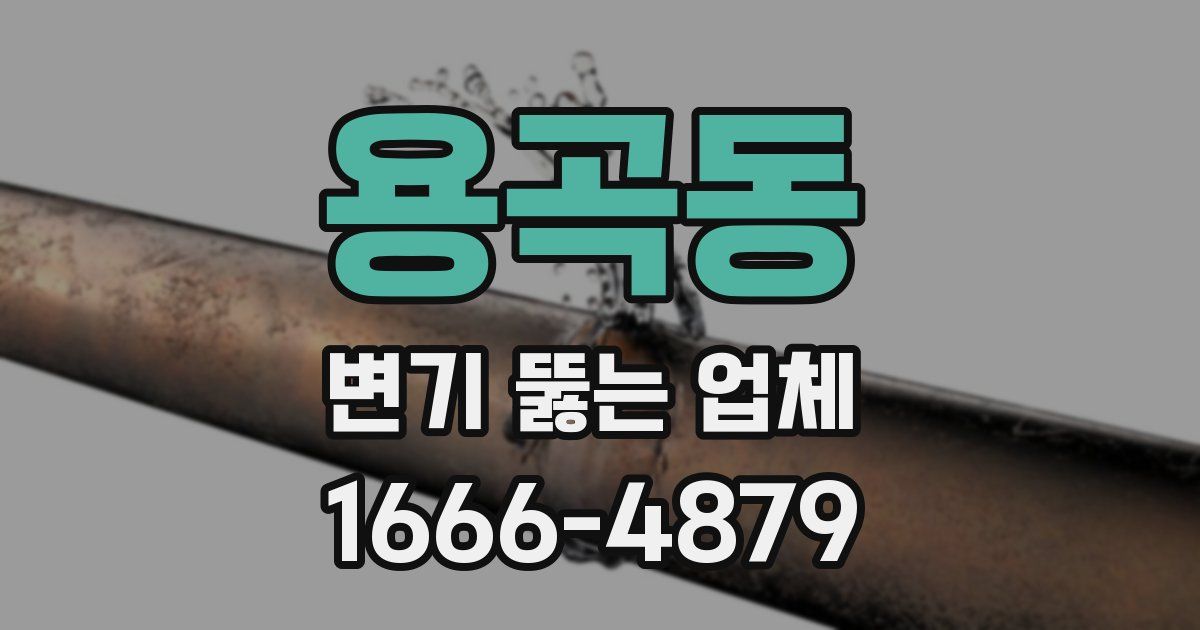 용곡동 변기 뚫는 업체