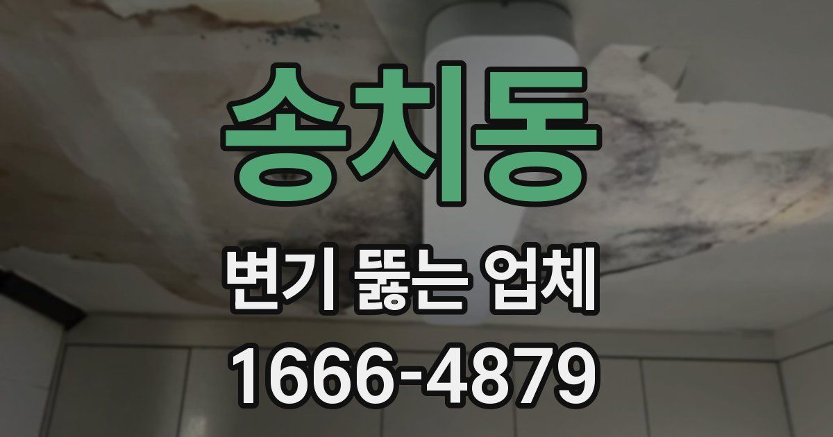 송치동 변기 뚫는 업체