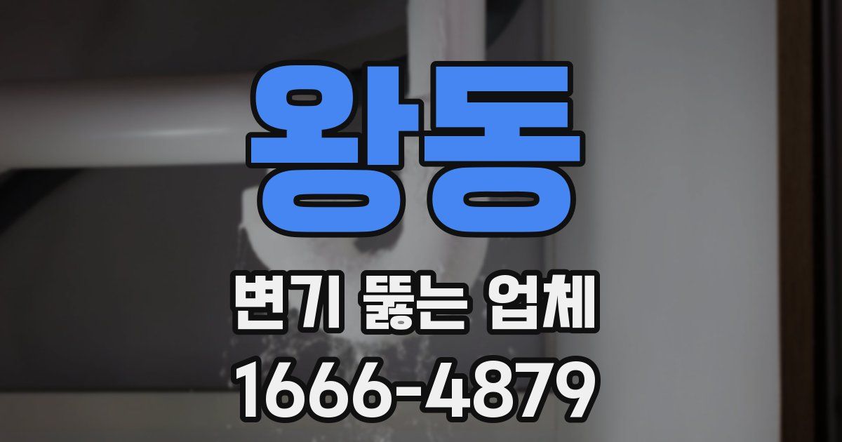 왕동 변기 뚫는 업체