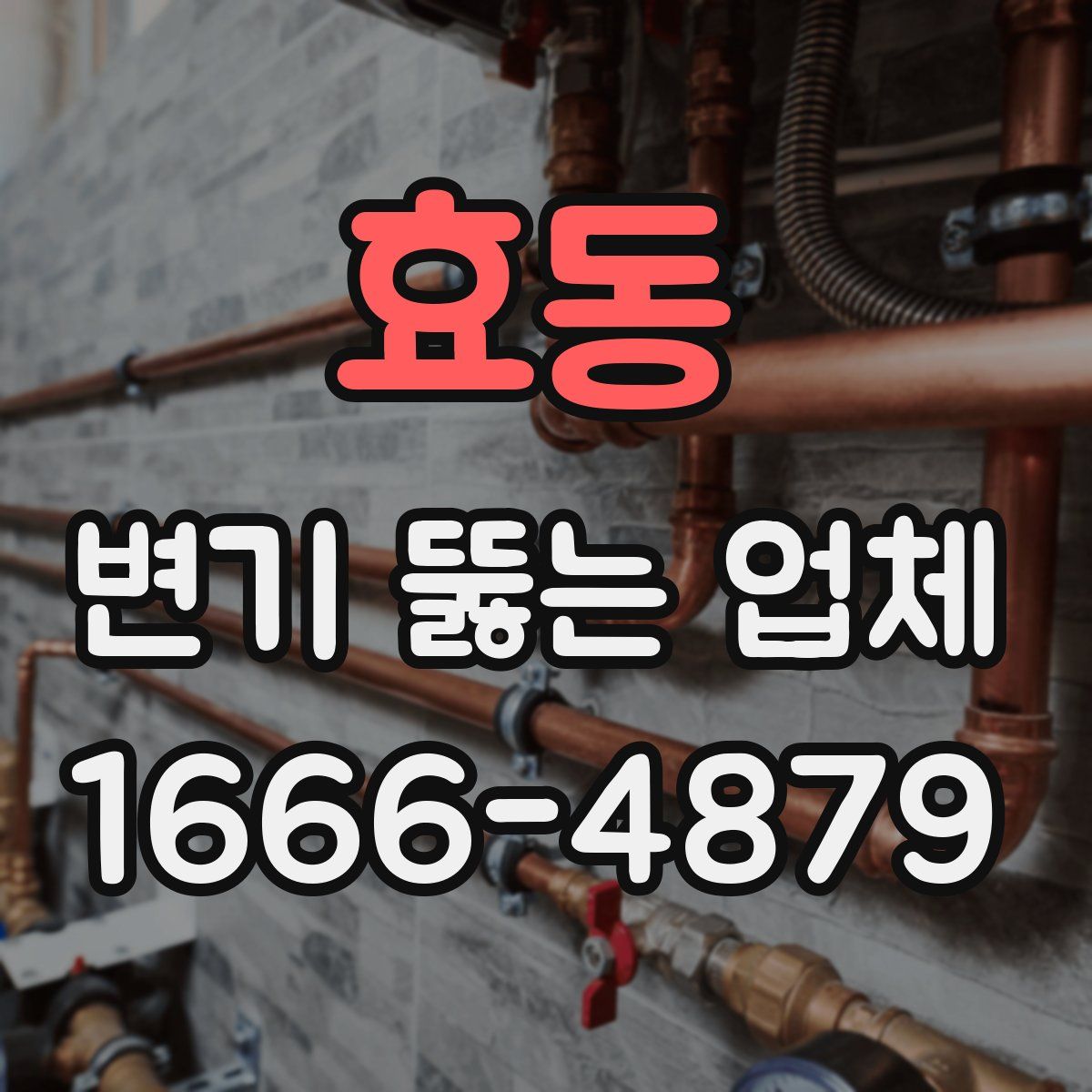 효동 변기 뚫는 업체