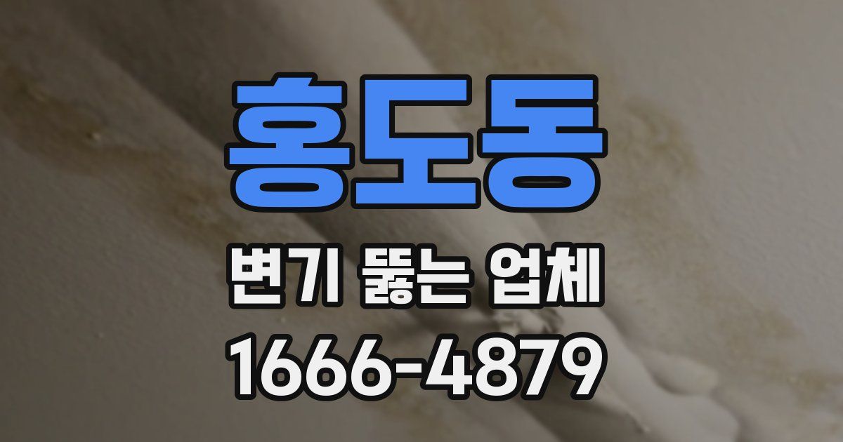 홍도동 변기 뚫는 업체