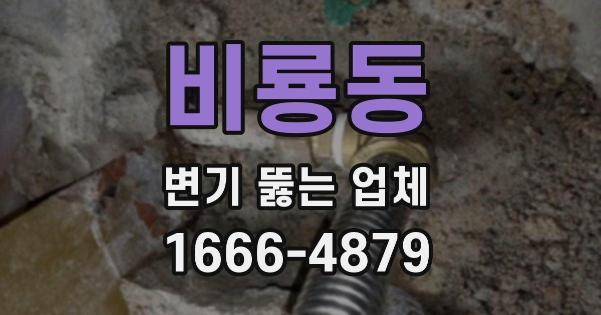 비룡동 변기 뚫는 업체