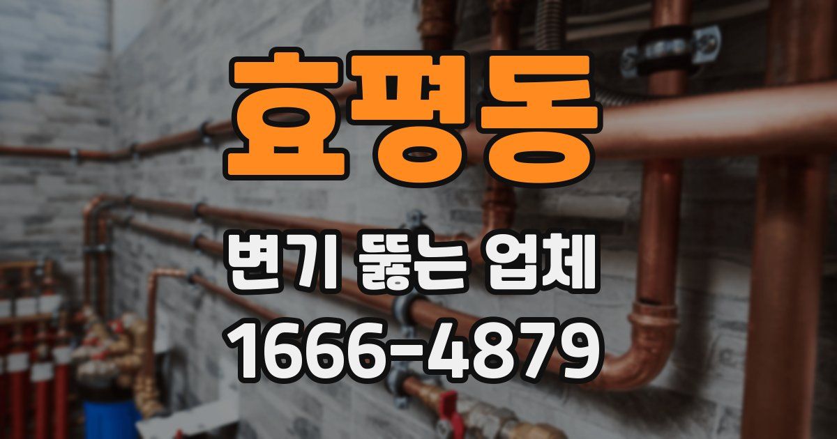 효평동 변기 뚫는 업체