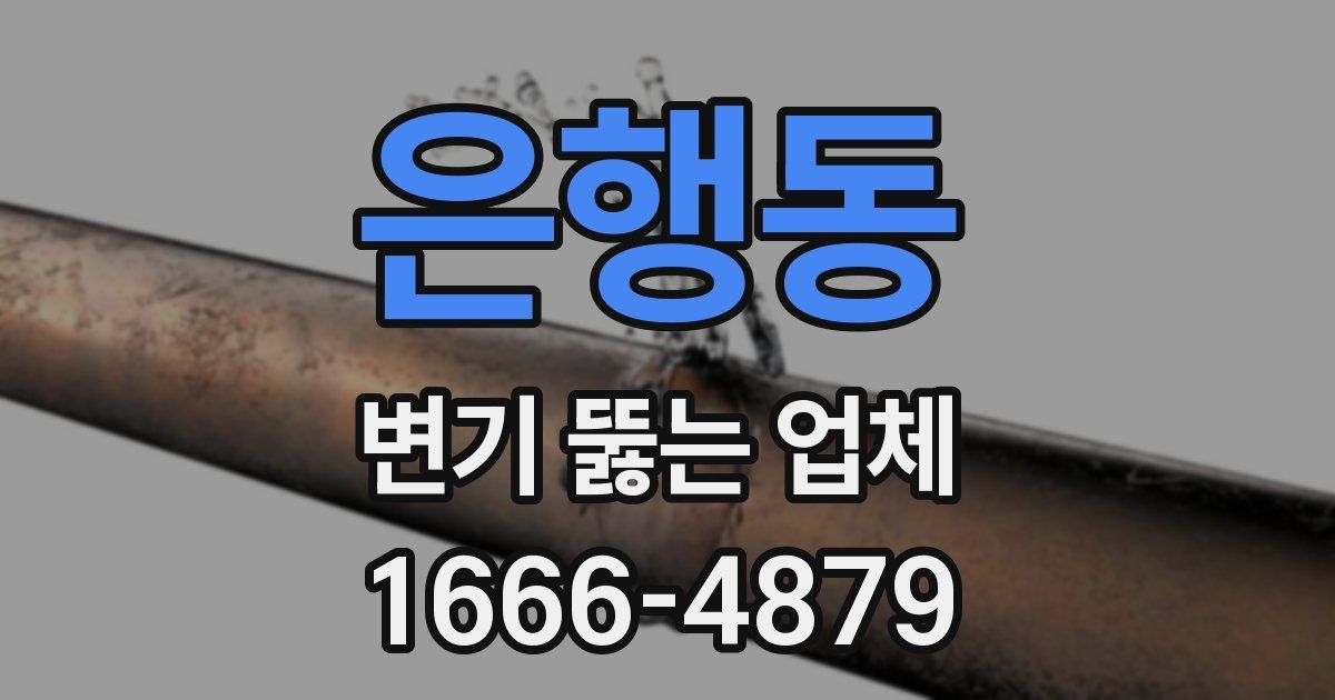 은행동 변기 뚫는 업체