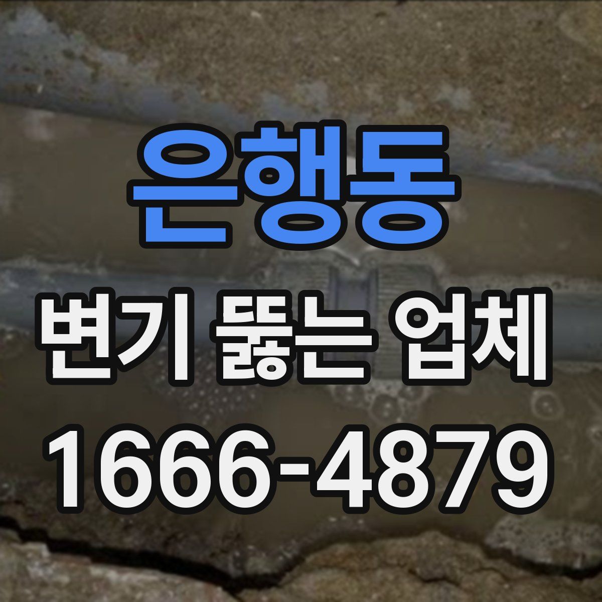 은행동 변기 뚫는 업체