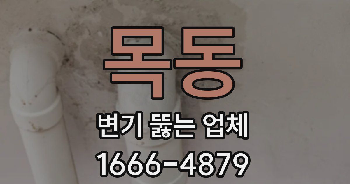 목동 변기 뚫는 업체