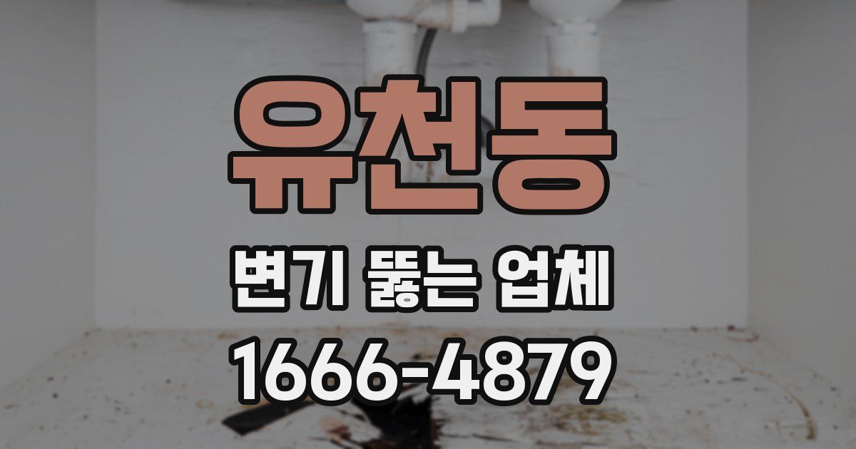 유천동 변기 뚫는 업체