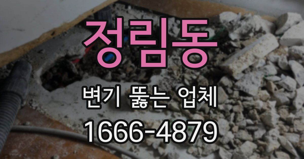 정림동 변기 뚫는 업체