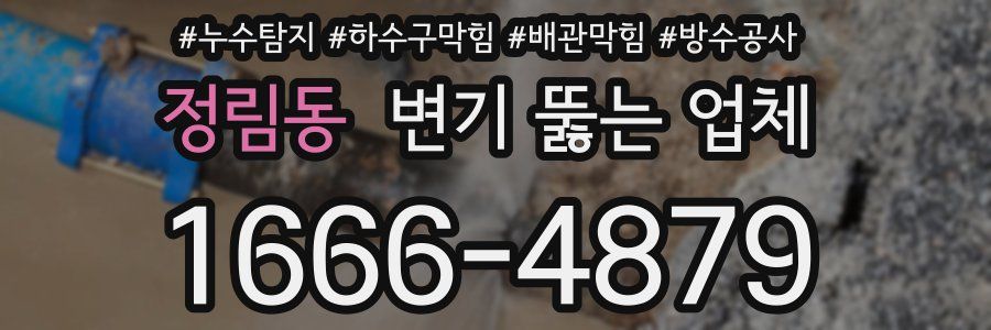 정림동 변기 뚫는 업체