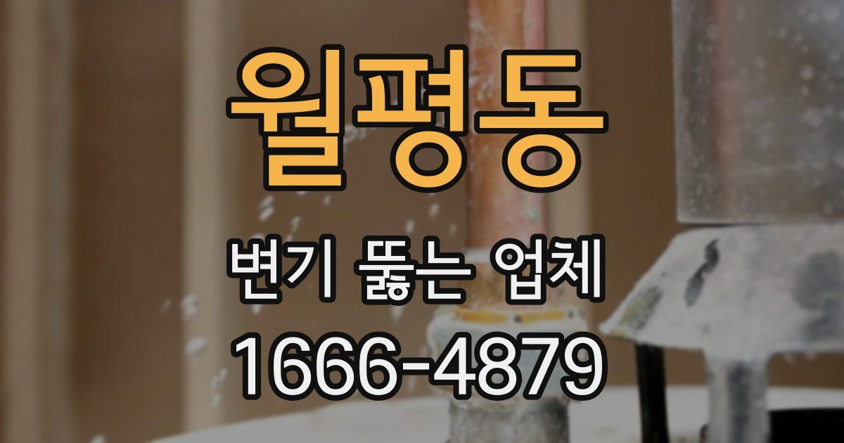 월평동 변기 뚫는 업체