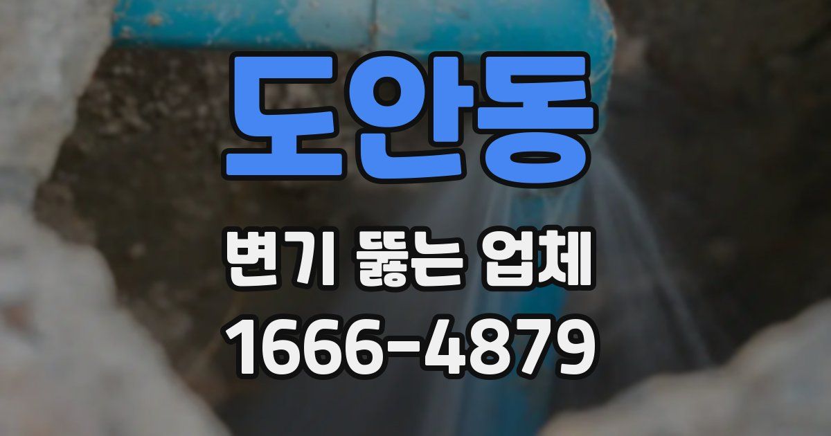 도안동 변기 뚫는 업체