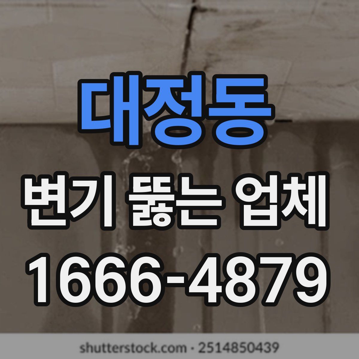 대정동 변기 뚫는 업체