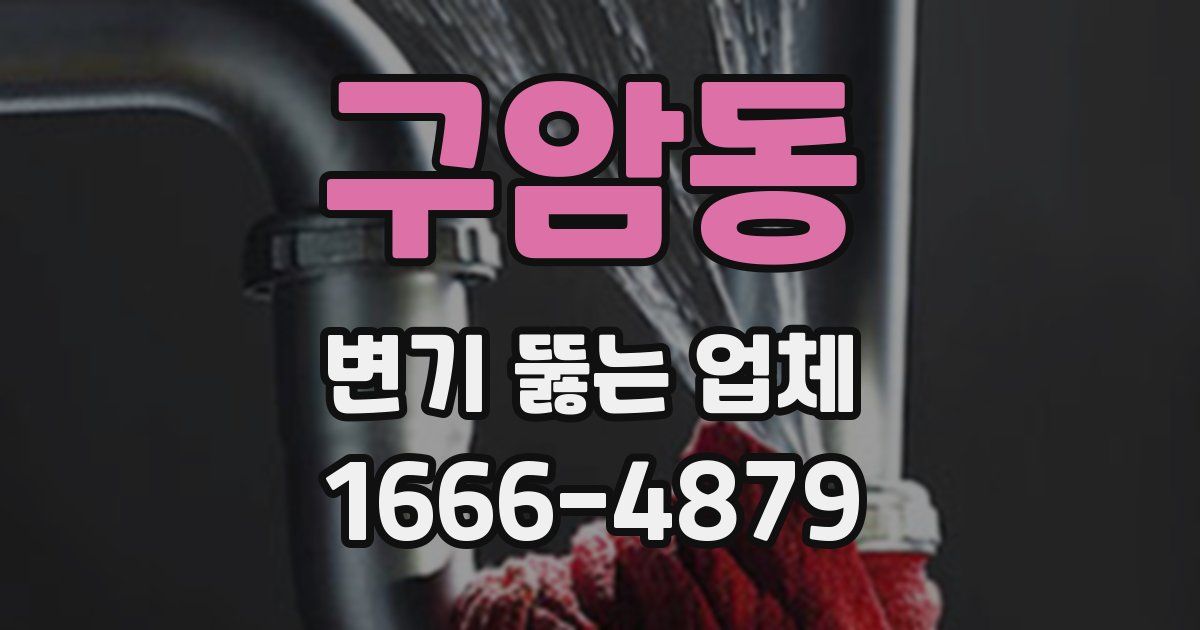 구암동 변기 뚫는 업체