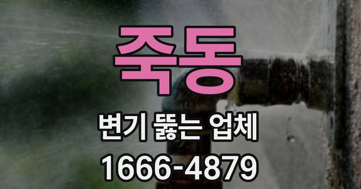 죽동 변기 뚫는 업체