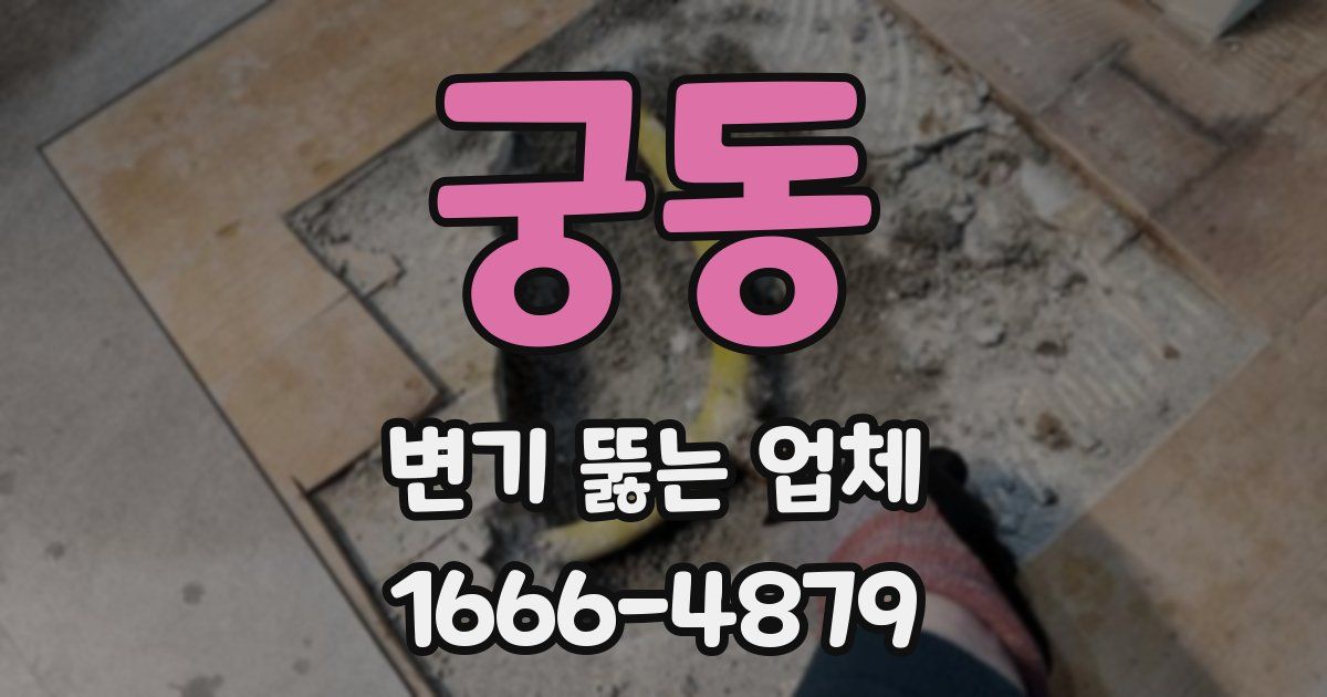 궁동 변기 뚫는 업체