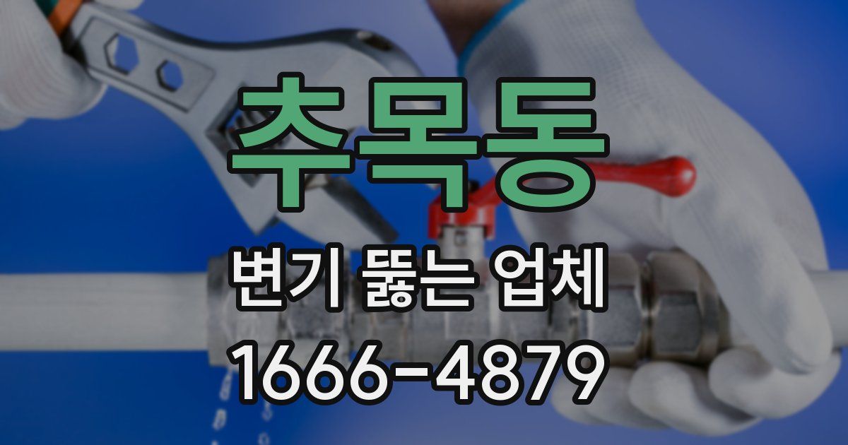 추목동 변기 뚫는 업체