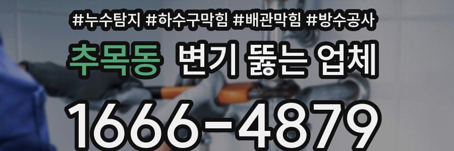 추목동 변기 뚫는 업체