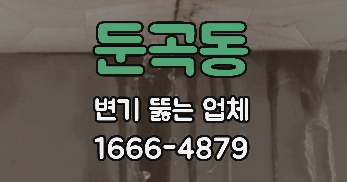둔곡동 변기 뚫는 업체