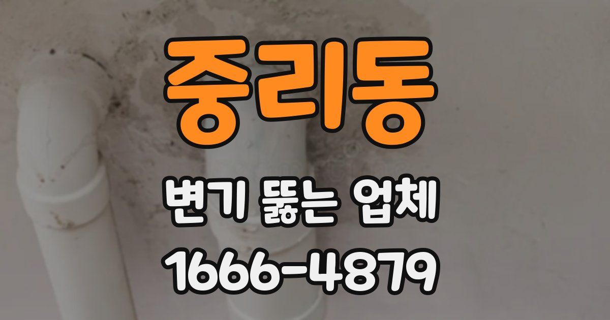 중리동 변기 뚫는 업체