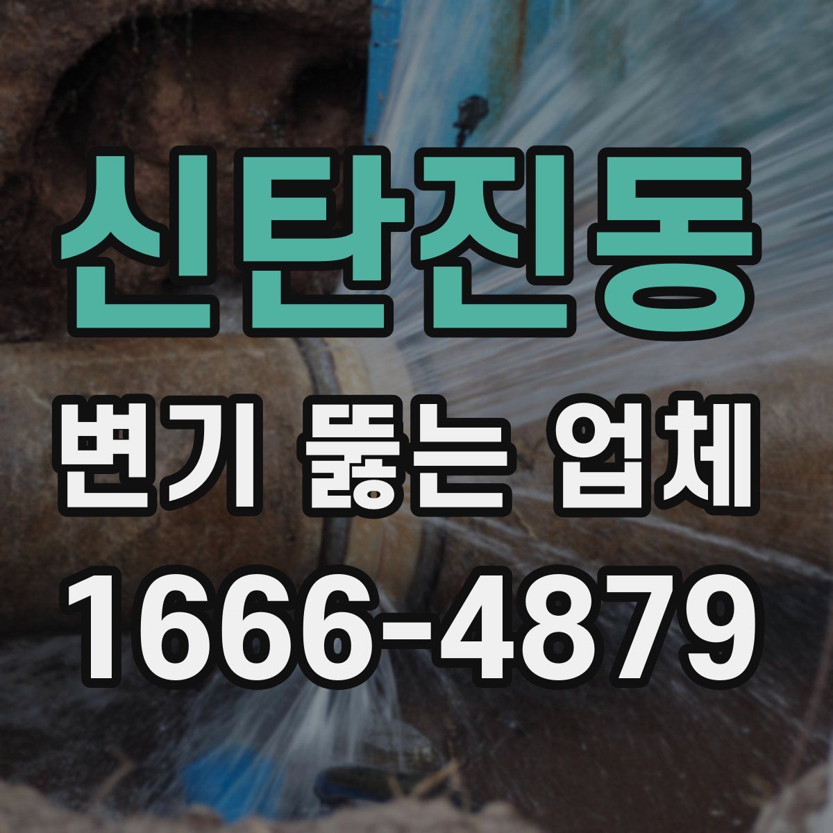 신탄진동 변기 뚫는 업체