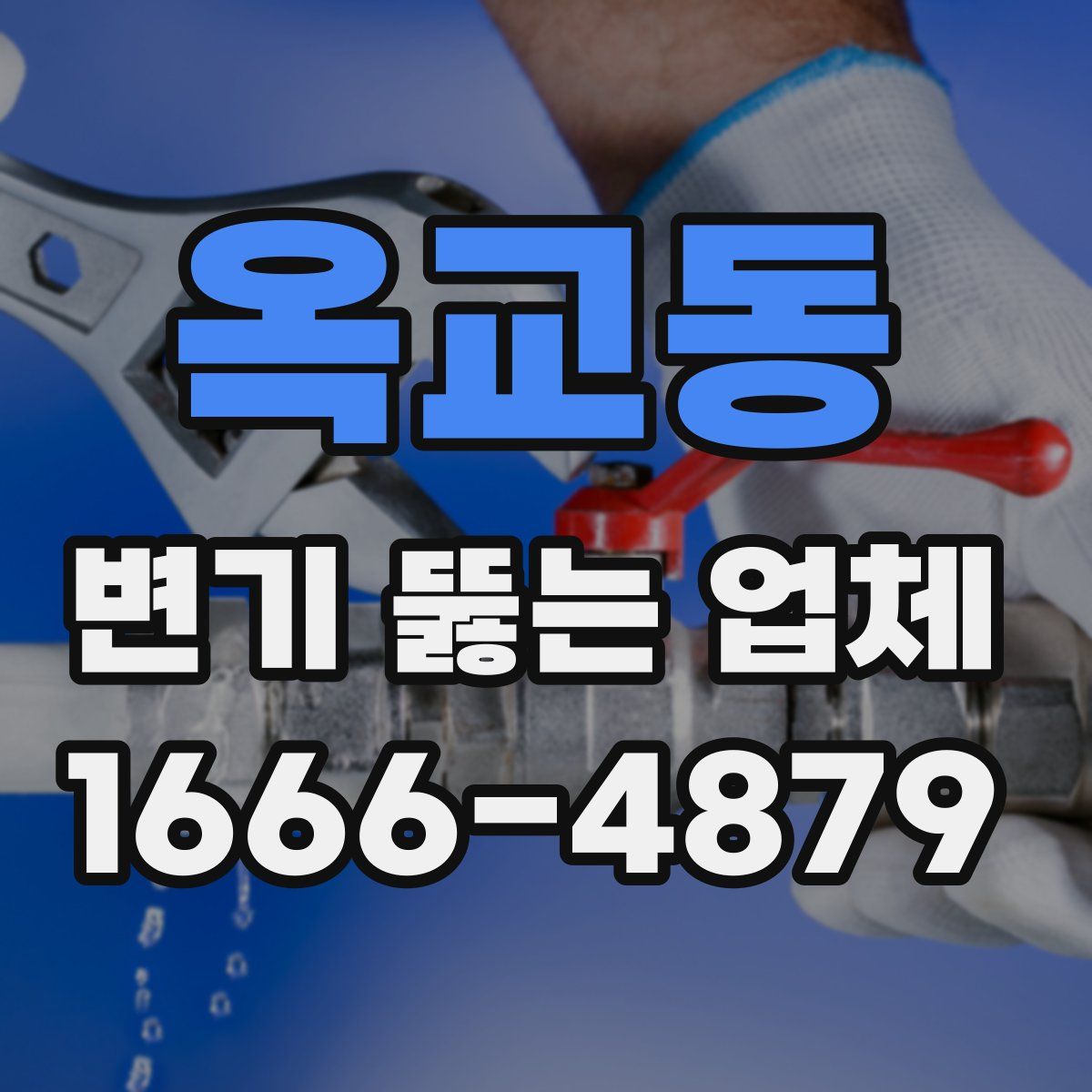 옥교동 변기 뚫는 업체