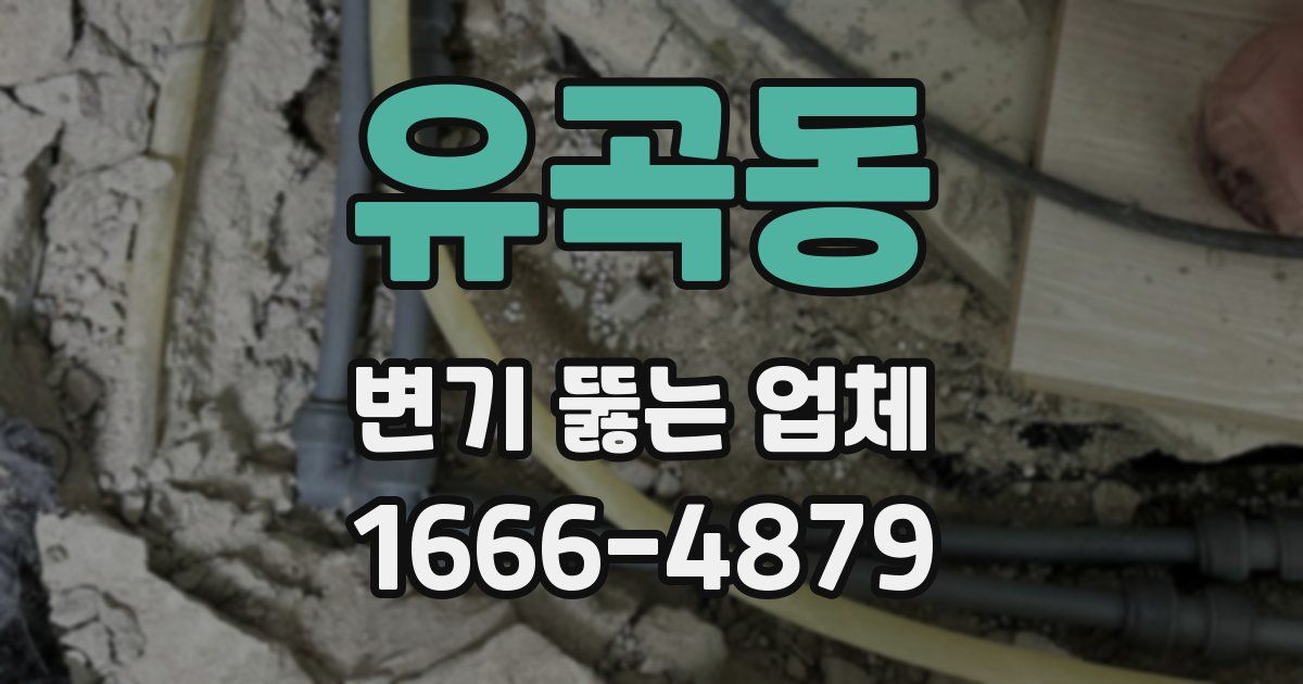 유곡동 변기 뚫는 업체