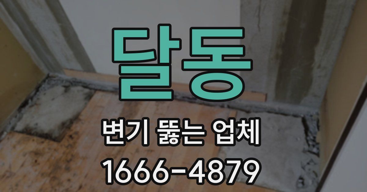 달동 변기 뚫는 업체