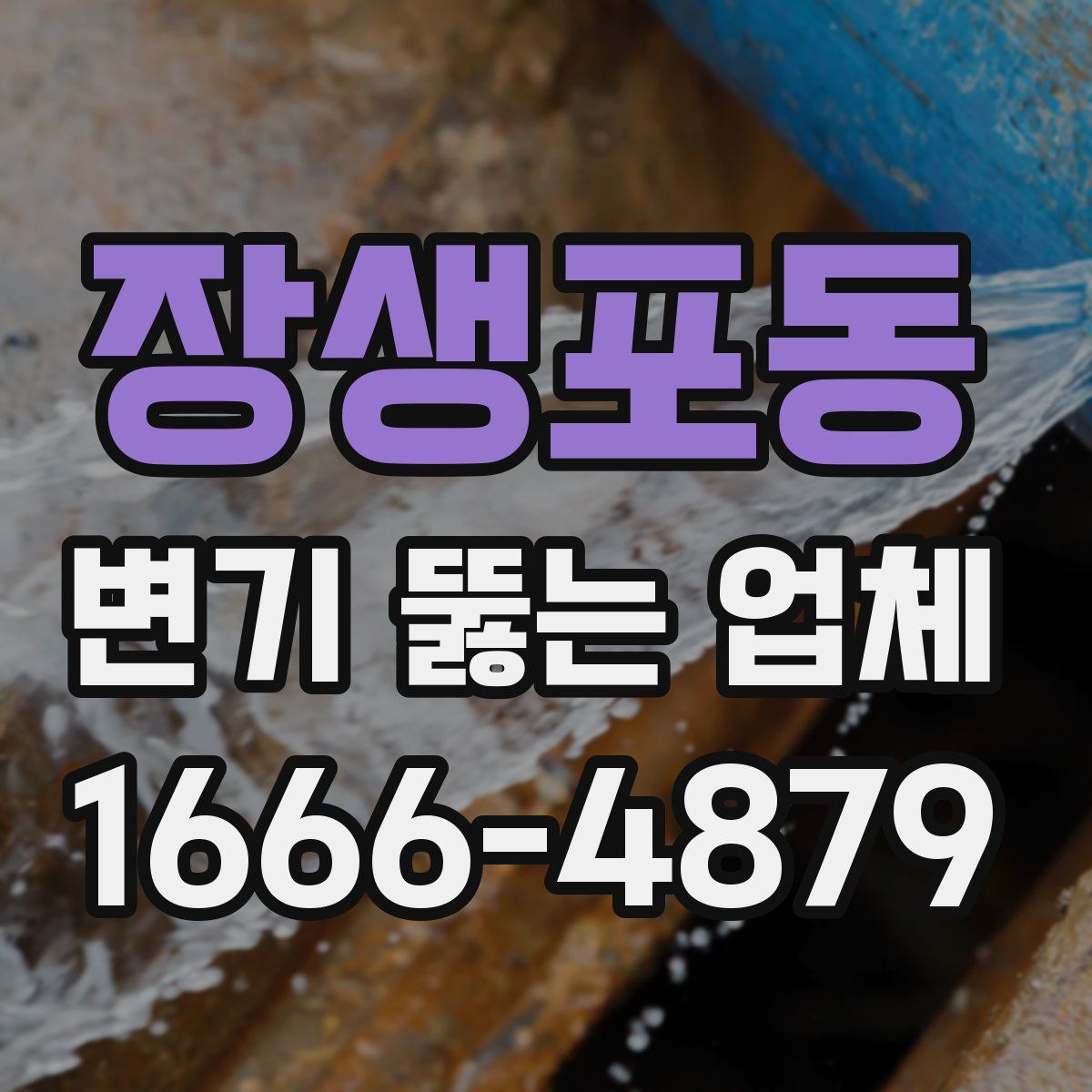장생포동 변기 뚫는 업체