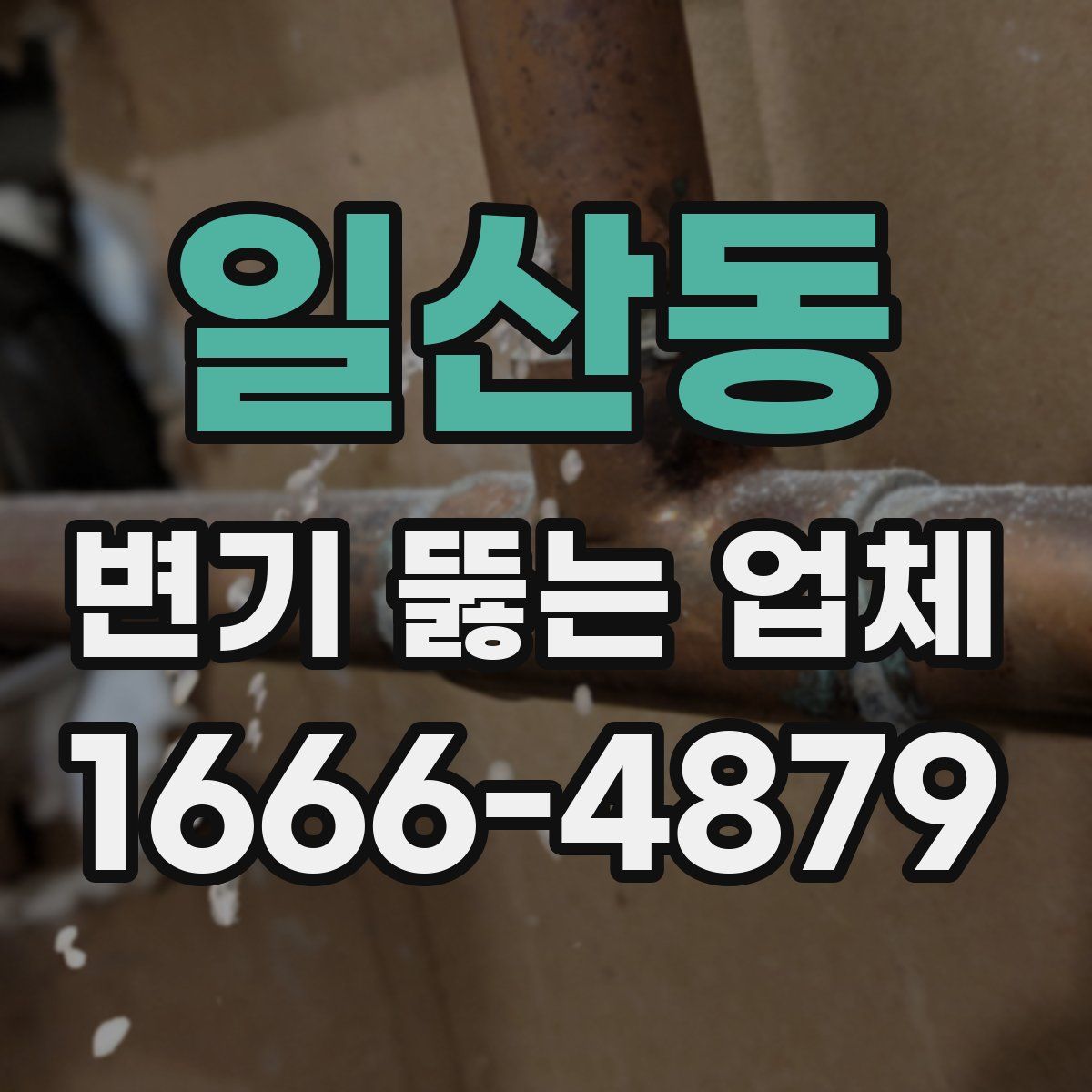일산동 변기 뚫는 업체