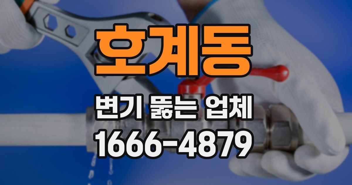 호계동 변기 뚫는 업체