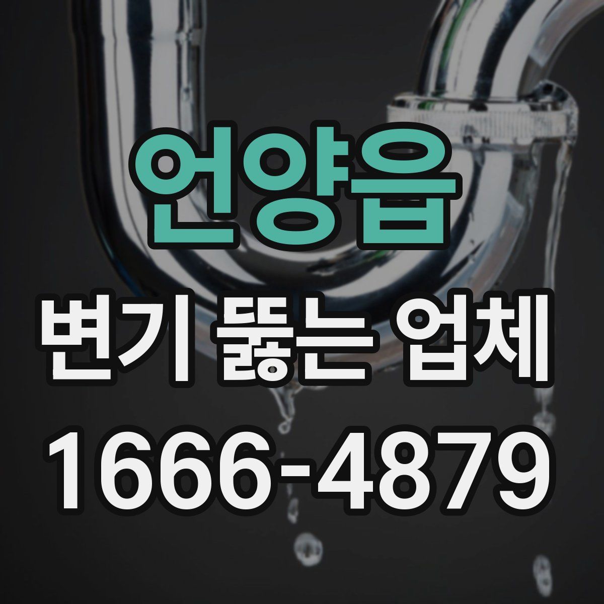 언양읍 변기 뚫는 업체