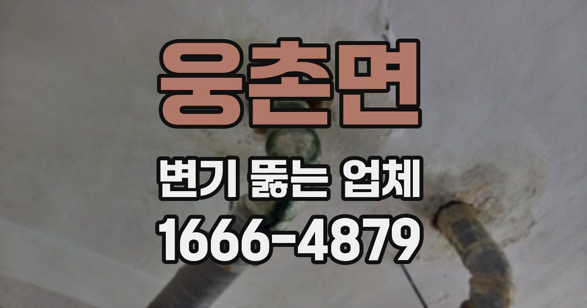 웅촌면 변기 뚫는 업체