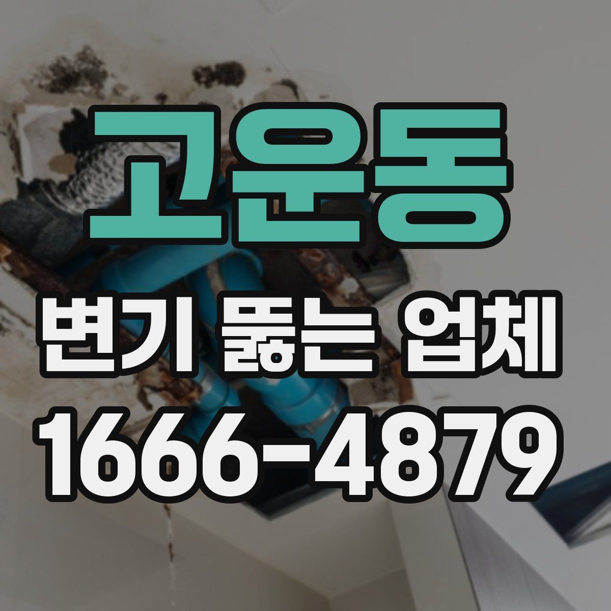 고운동 변기 뚫는 업체